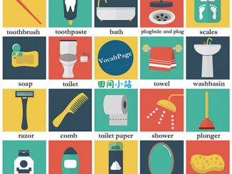 图说英语词汇 | 卫生间常见洗浴用品英语词汇一览表
