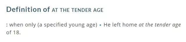 翻译研究 | “嫩龄”与tender age