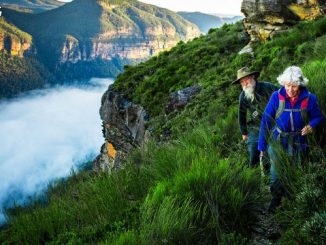 经济学人精读 | 2018年8月18日刊:Australia’s lauded private-pension system is under scrutiny