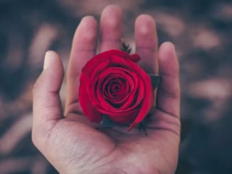 英语口语 | 能叫爱人lover吗?答案是不可以