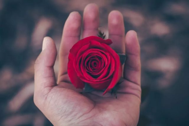 英语口语 | 能叫爱人lover吗？答案是不可以