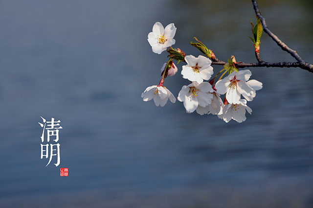 读诗赏译 | 清明时节雨纷纷之八大名家译本大盘点