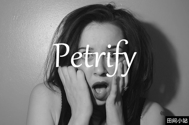 小词详解 | petrify