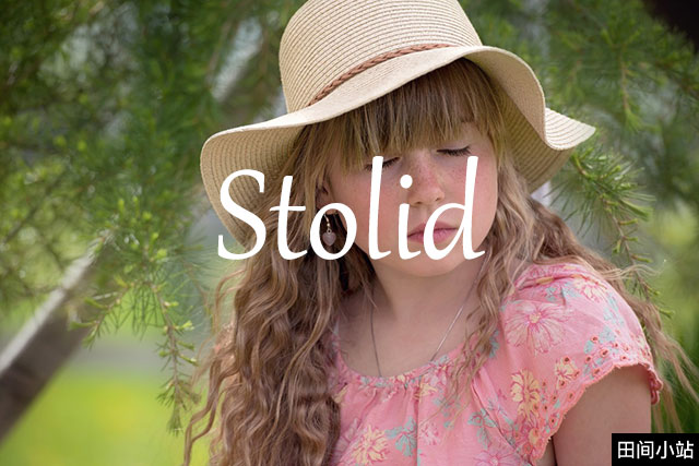 小词详解 | stolid 小词详解 | stolid