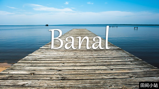 小词详解 | banal