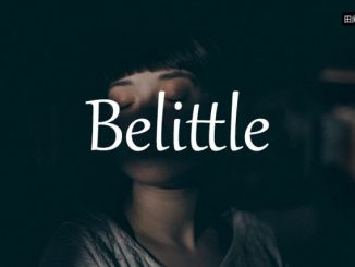 小词详解 | belittle
