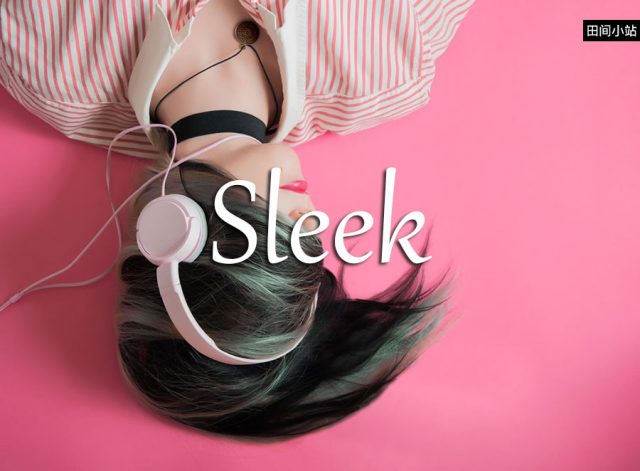 小词详解 | sleek
