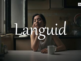 小词详解 | languid
