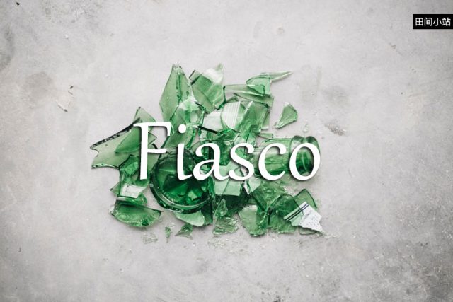 小词详解 | fiasco