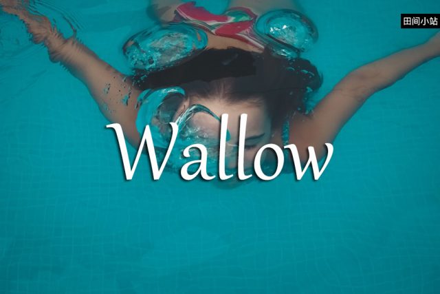 小词详解 | wallow