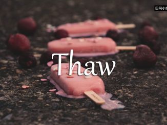 小词详解 | thaw