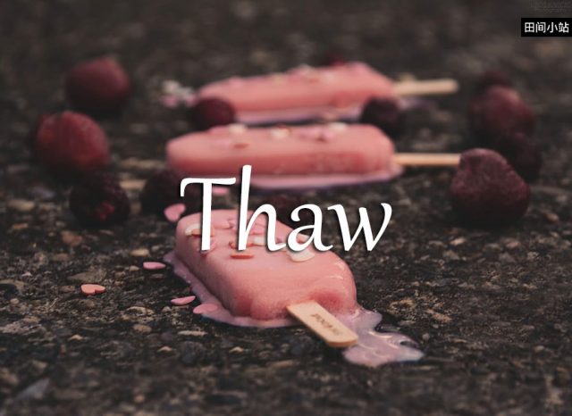 小词详解 | thaw