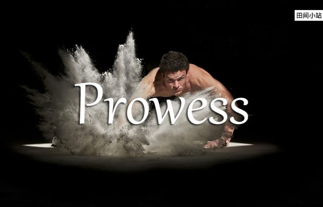 小词详解 | prowess