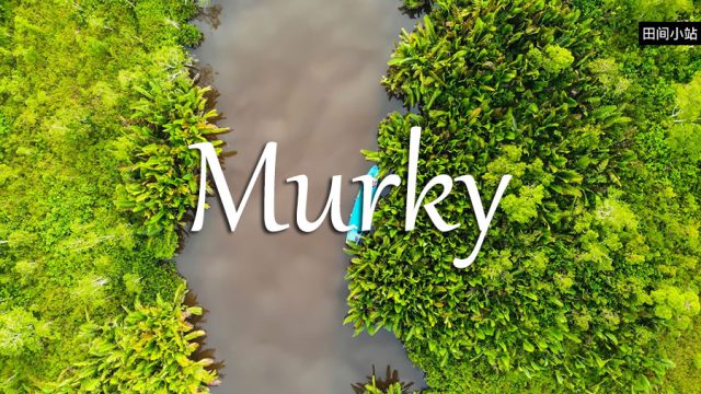 小词详解 | murky